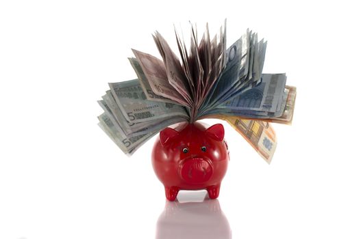 money pig with euro paper isolated on white