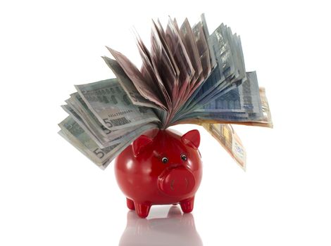 money pig with euro paper isolated on white