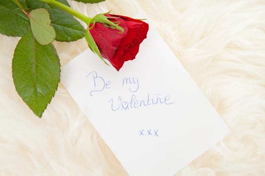 Romantic note: Be my Valentine with red rose