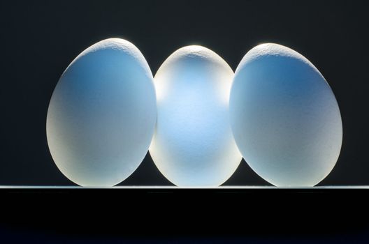Symbolic three eggs in conservation