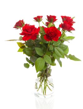 Bouquet of red roses in vase over white background