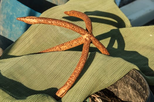 Anchor on a green net in the harbour of Bork havn