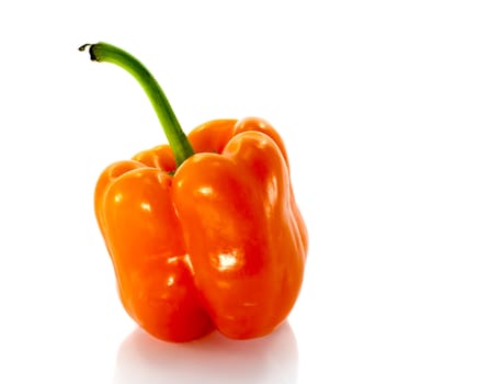orange paprika fruit isolated on white