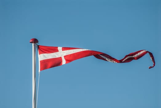 Danish flag in strong wing