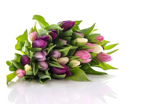pink and yellow flowers on white background