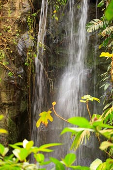 closeup of a beautiful waterfall with plants in the front