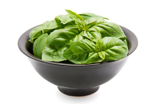 Black bowl with fresh basil leaves over white background