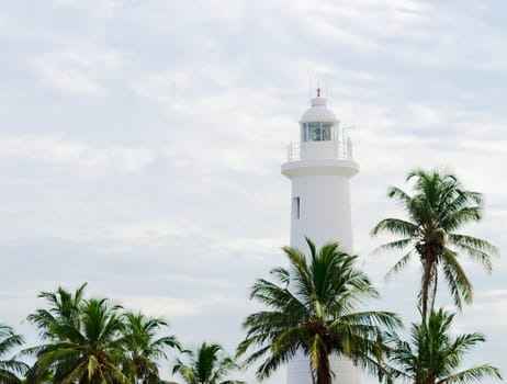 White lighthouse above palm tops on cloudy sky background, Galle Sri Lanka