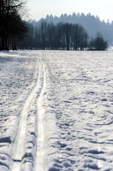 Recreational nordic ski track.