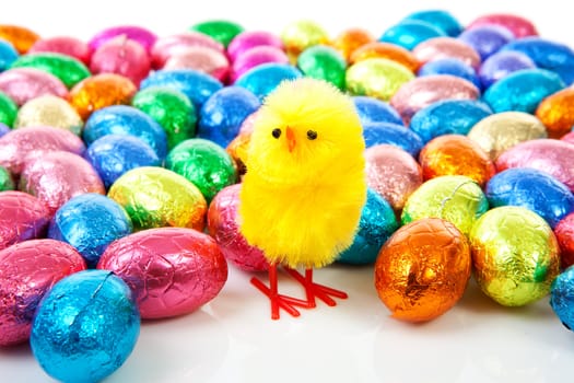 chicken and colorful easter eggs in closeup over white background