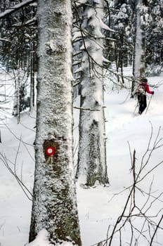 Hiker following the right path in winter time.