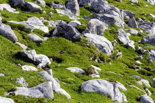 Texture of fine mountain grass with rocks.