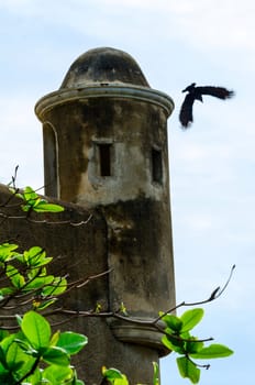 Old militarytower with gun slots above fort wall with flying bird and green branch on front