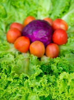 Ecological fresh vegetables on market table decorated on salad leaves. Selective focus on front