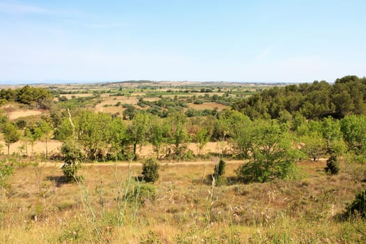 Vieuw over landscape in the south of france