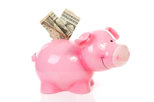 Pink piggy bank and dollar money isolated on white background