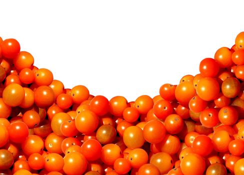 Cherry tomato border with a heap of juicy natural mixed golden red organic sweet tomatoes representing the concept of eating delicious healthy food of fresh fruits and vegetables with a blank white background.