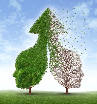 Partnership problems with two trees in the shape of human heads merged together into an up arrow and one of the trees losing the leaves as a concept of divorce and separation challenges in a broken personal relationship business disagreement.
