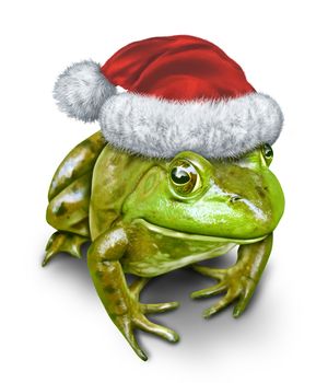 Holiday frog as a green amphibian wearing a Christmas hat as a festive symbol of nature and conservation during the season of gift giving on a white background.