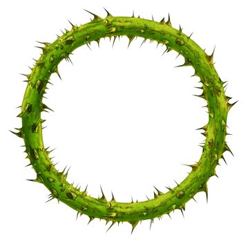 Crown of thorns as a circular plant branch frame with a blank area with pointy needles as a symbol of sacrifice and courage isolated on a white background.