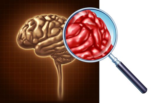 Brain close up with a focus on the neurological activity using a magnifying glass on the human anatomy for memory and neurology research for medical science as a health care symbol of mental well being.