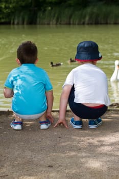 two little boys watch and feed the ducks at a park
