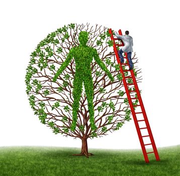 Prevent disease and preventive medicine health care medical concept with a doctor or surgeon working on a human body in the shape of a gree tree with leaves and branches on a white background.