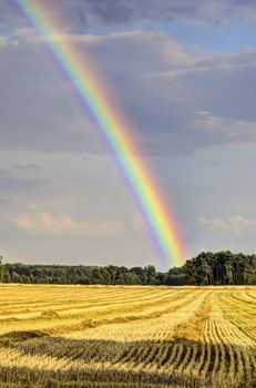 This photo present Rainbow over the stubble.