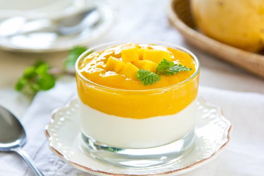 Mango puree and fresh pieces  of mango with Greek yogurt