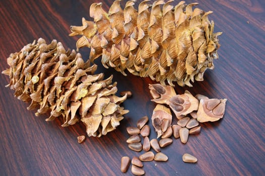 Pine nut from the cedar cone collected in the autumn