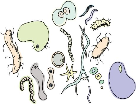 Set of generic bacteria and one celled organisms 