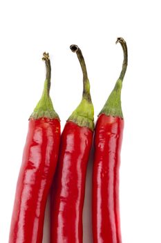 the top three chili peppers on a white background