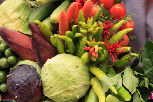 Collection of vegetables / green, yellow, orange, red