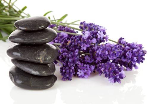 stacked black steping stones and lavender flowers over white background