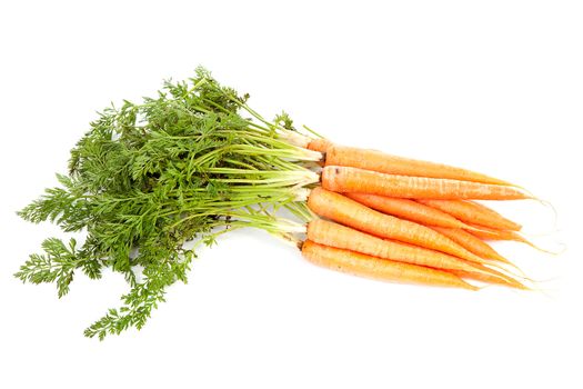 bunch of fresh carrots isolated on white background