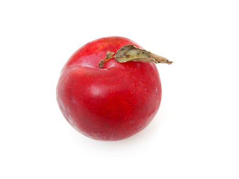 One red plum in closeup over white background