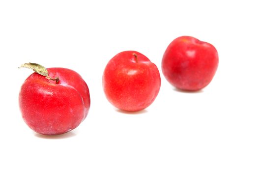 Three fresh plums over white background