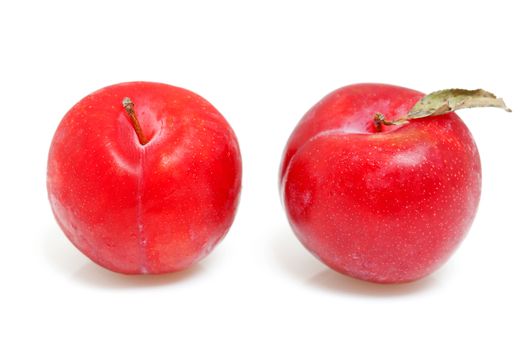 two red plums in closeup over white background