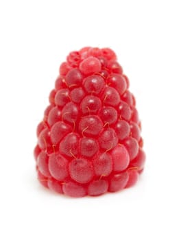 one raspberry in closeup isolated on white background