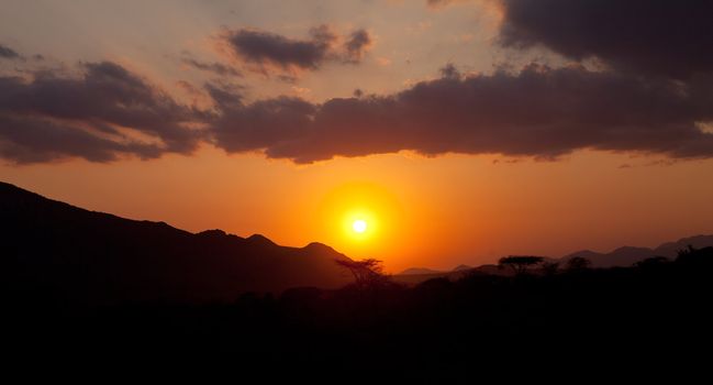 Beautiful orange sunset in Africa with shades of baobab trees