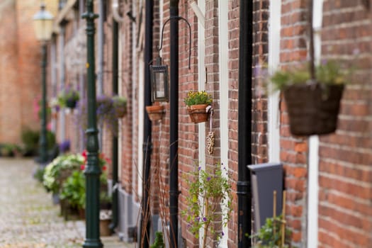 Typical Dutch houses in Elburg with flowers