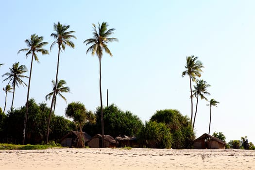 Huts on tropical beach in Kenya