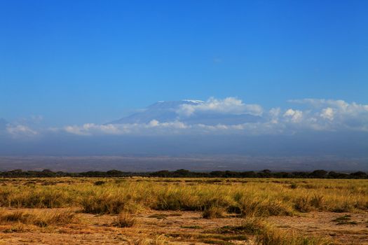 Mount Kilimanjaro covered with snow in Africa