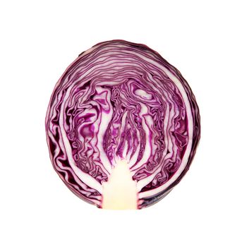 half red cabbage over white background