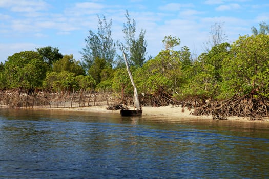 Rowing boat and mangrove trees in Kenya