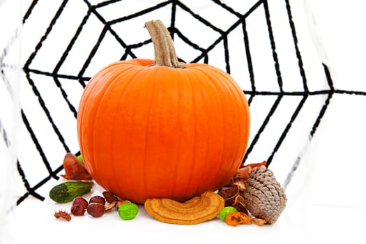 halloween pumpkin and spider web over white background