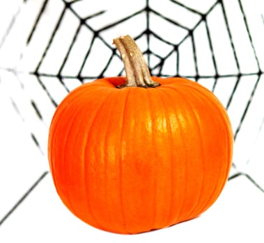 halloween pumpkin and spider web isolated on white background