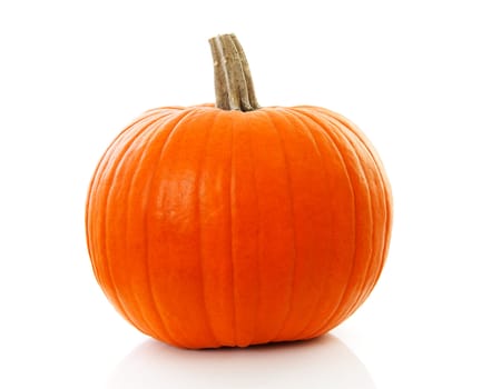 One big orange pumpkin in closeup over white background