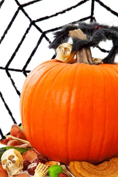 halloween pumpkin and spider web isolated on white background