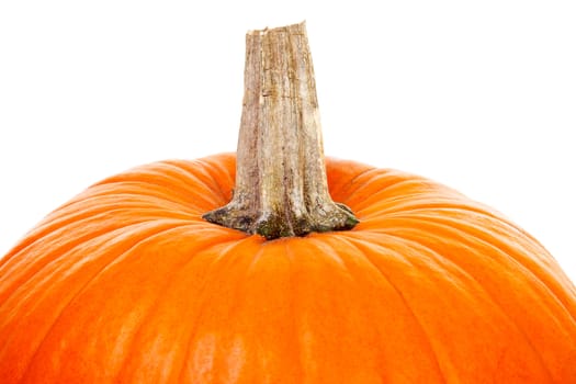 top of big orange pumpkin isolated on white background